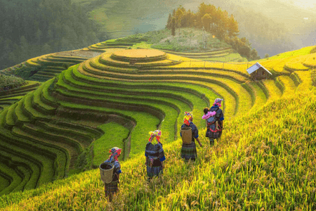 Sapa – 10 beste Orte in Vietnam zu besuchen