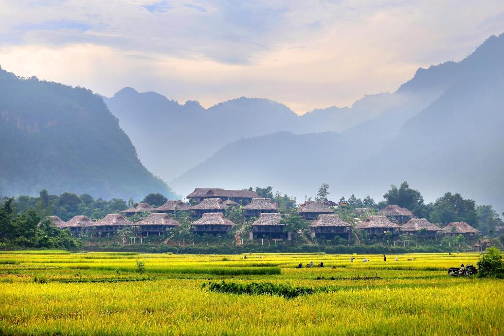 Das Erleben einer Ecolodge-Unterkunft ist eine der besten Möglichkeiten, die Besucher ausprobieren müssen.